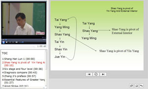 Shang han lun (Treatise on Febrile Diseases) video course screenshot