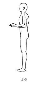 images/stories/qigong-fangsonggong-2-5.PNG