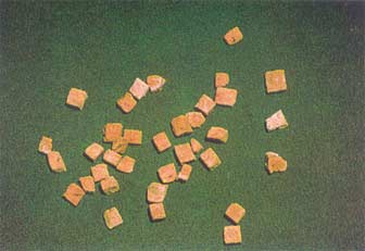 Shen Qu Shen Qu